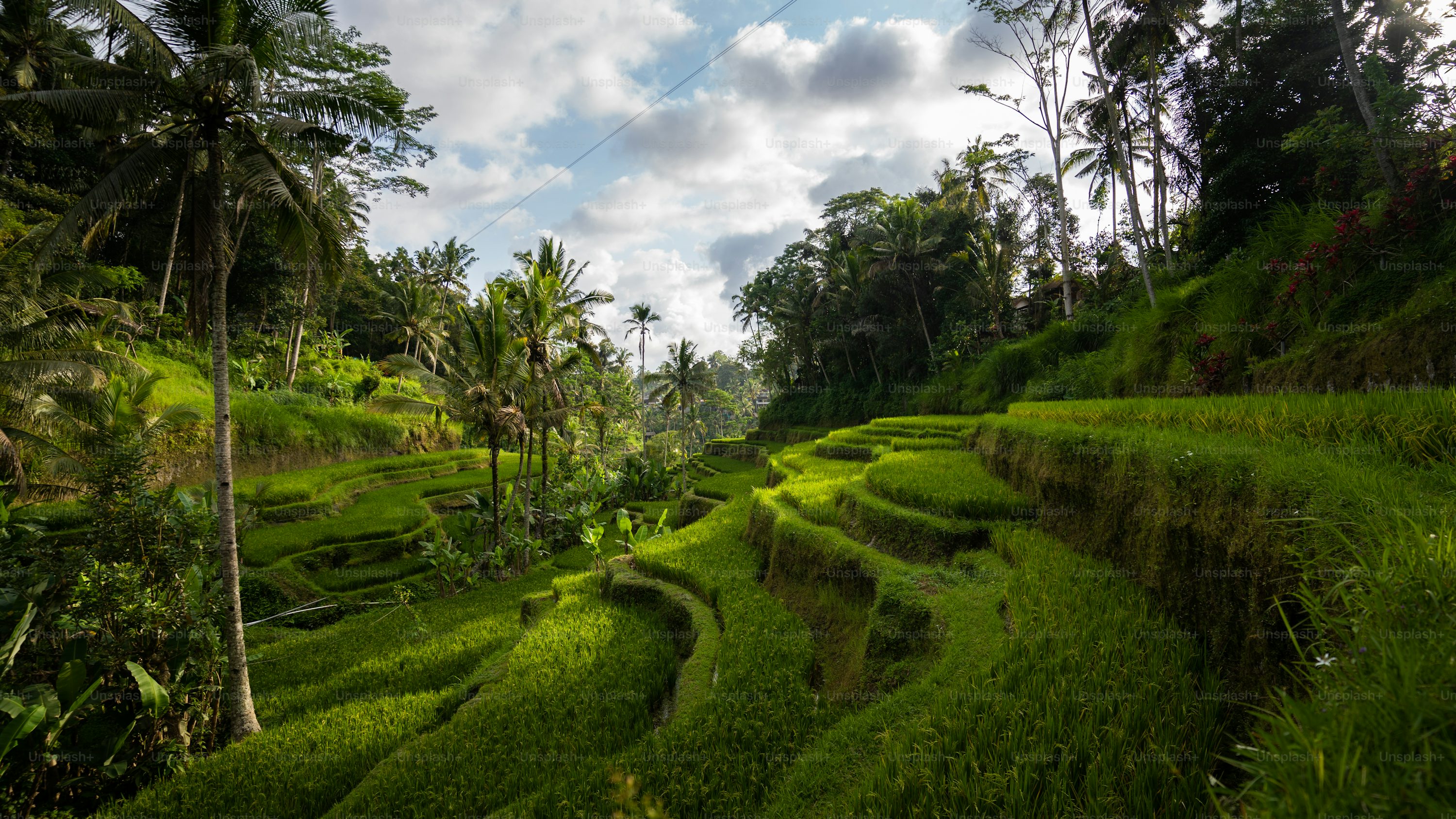 History of Ubud